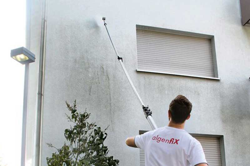 Hausfassade reinigen lassen in Ludwigsburg vom Meisterbetrieb algenfiX Fassadenreinigugn