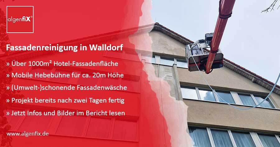 Fassadenreinigung Walldorf