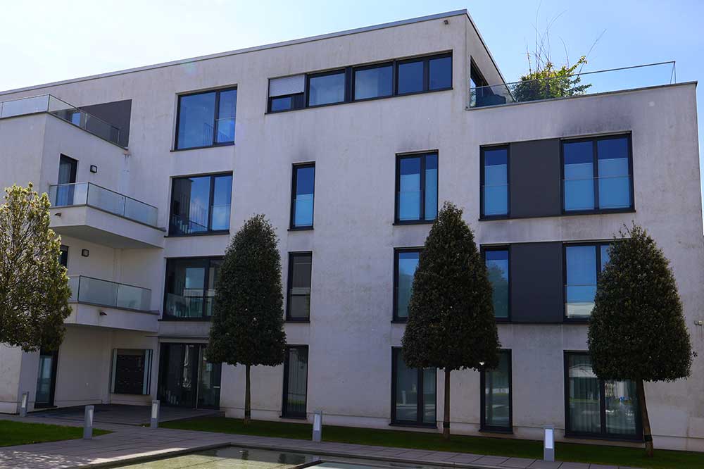 Verschmutzte Hausfassade vor algenfiX Fassadenwäsche in Landau in der Pfalz