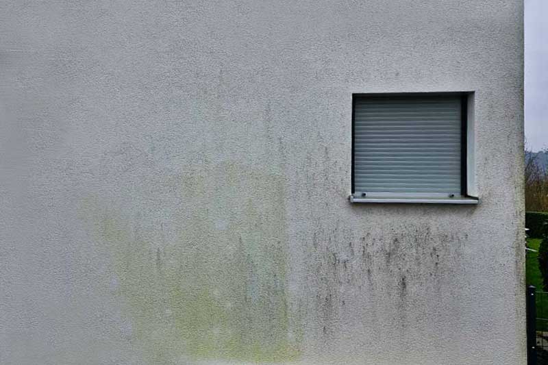 Hausfassade Einfamilienhaus vor algenfiX Fassadenwäsche