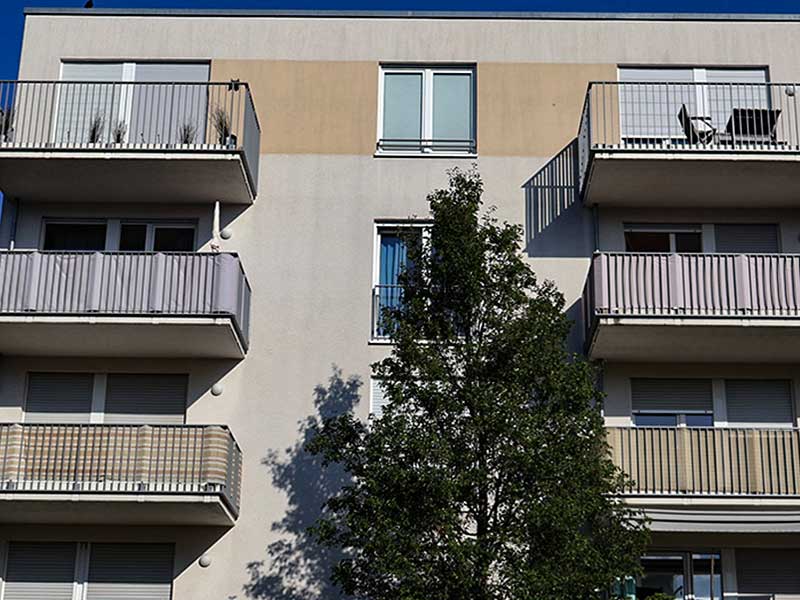 Mehfamilienhaus-Fassade-vor-einer-algenfiX-Fassadenreinigung