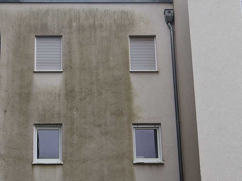 Mehrfamilienhausfassade vor algenfiX-Fassadenreinigung