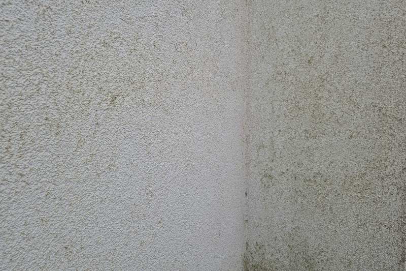 Verschmutzte-Hausfassade-an-einem-Einfamilienhaus-vor-der-algenfiX-Fassadenreinigung