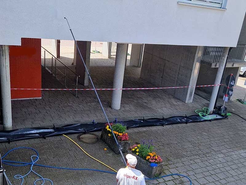 Fassadenreinigung ohne Gerüst in Ettlingen von Meisterbetrieb algenfiX Fassadenreinigung ohne Gerüst in Ettlingen von Meisterbetrieb algenfiX
