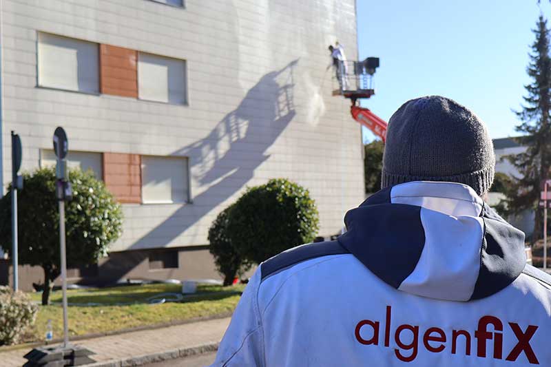 Fassadenreinigung in 71111 Waldenbuch von Firma algenfiX