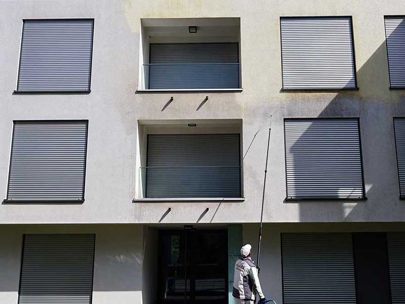 MFH-Fassade-reinigen-lassen-von-algenfiX