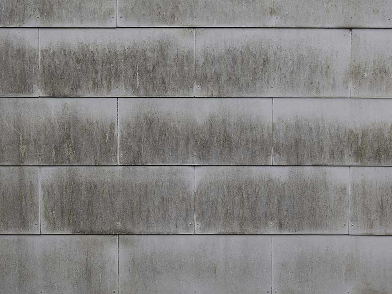 Verschmutzte-Hausfassade-vor-professioneller-Fassadenreinigung-von-Firma-algenfiX