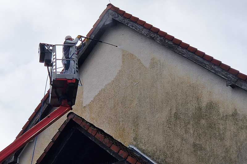 Professionelle Fassadenreinigung ohne Gerüst für Mössingen von Firma algenfiX