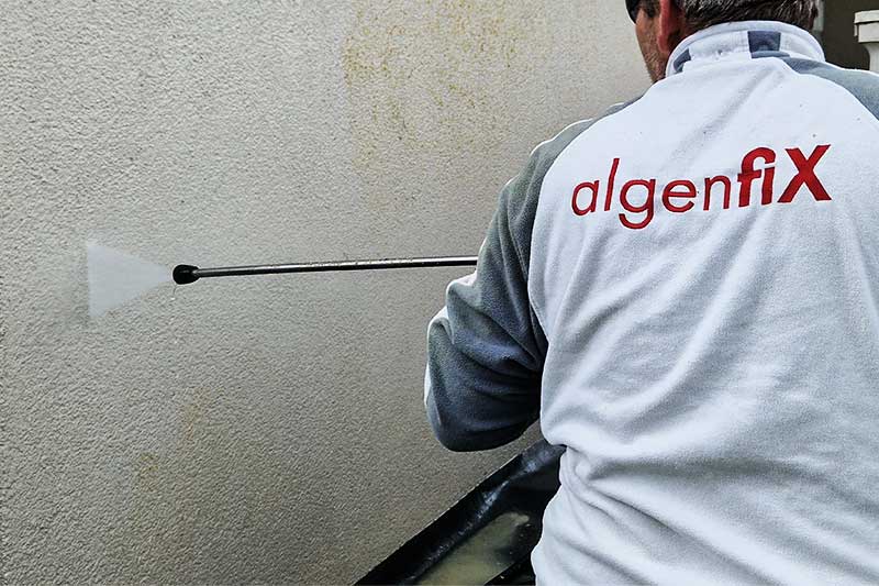 Professionelle Fassadenreinigung in 75337 Enzklösterle von algenfiX