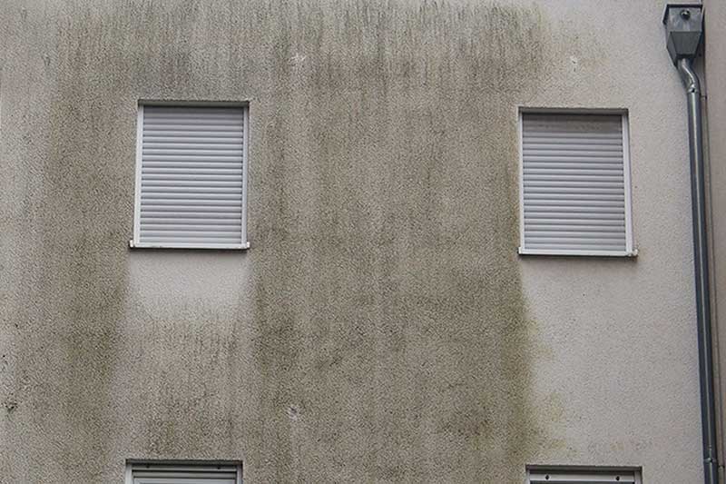 Mehrfamilienhausfassade nach der Fassadenreinigung von algenfiX