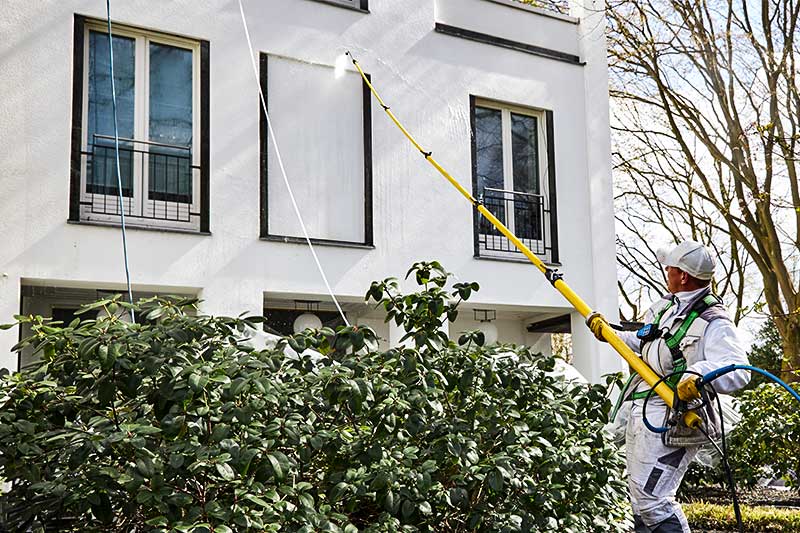 Professionelle Fassadenreinigung in Kirchheim am Neckar von Firma algenfiX