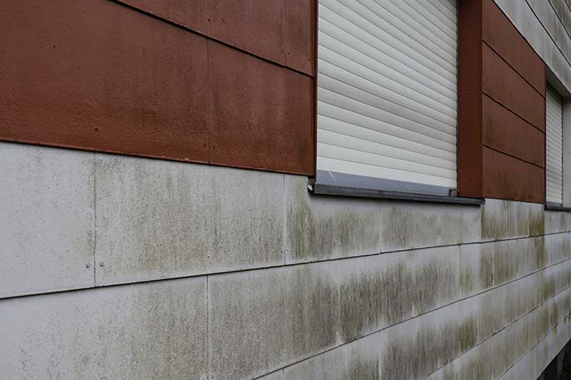 Verschmutzte-Hausfassade-vor-algenfiX-Fassadenreinigung