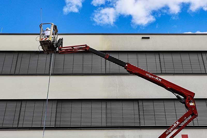 algenfiX Fassadenreinigung in Ditzingen