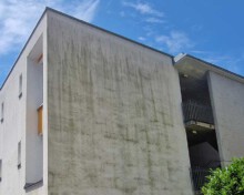 Von Mikroorganismen verschmutzte Außenfassade vor algenfix Fassadenreinigung