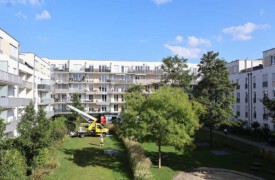 Frisch gereinigte Fassadenflächen einer großen WEG in München von Firma algenfiX